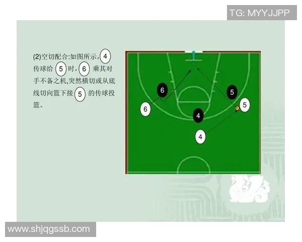 深入分析成都篮球队区域防守战术的特点与应用策略